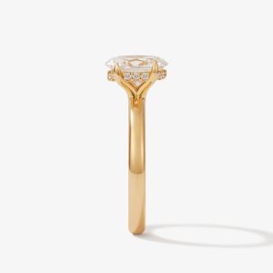 Foto web 800x800 - 2025-04-08T123623.051